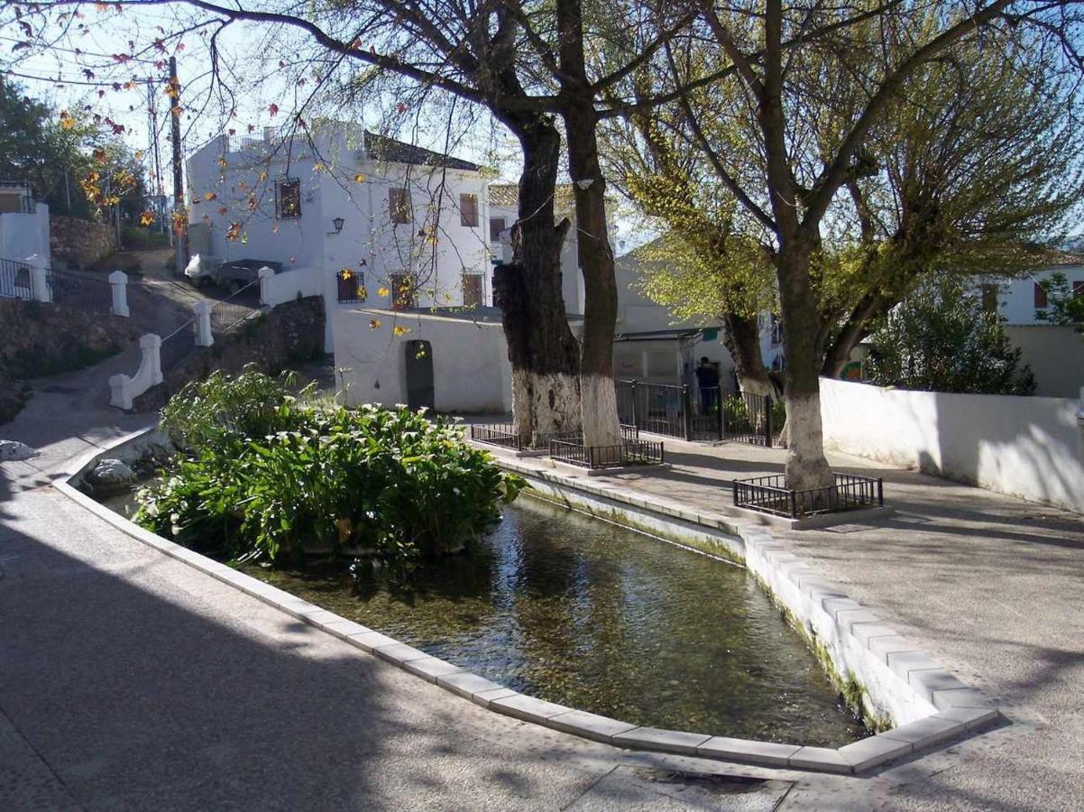 Sierra Alcaide Villa Zagrilla Exterior photo